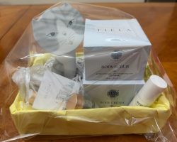 L11 - Skin Care Basket