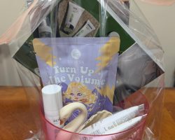 S16 - Swan Figurine Skin & Hair Care Kit